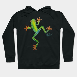 Red Eyed Tree Frog Hoodie